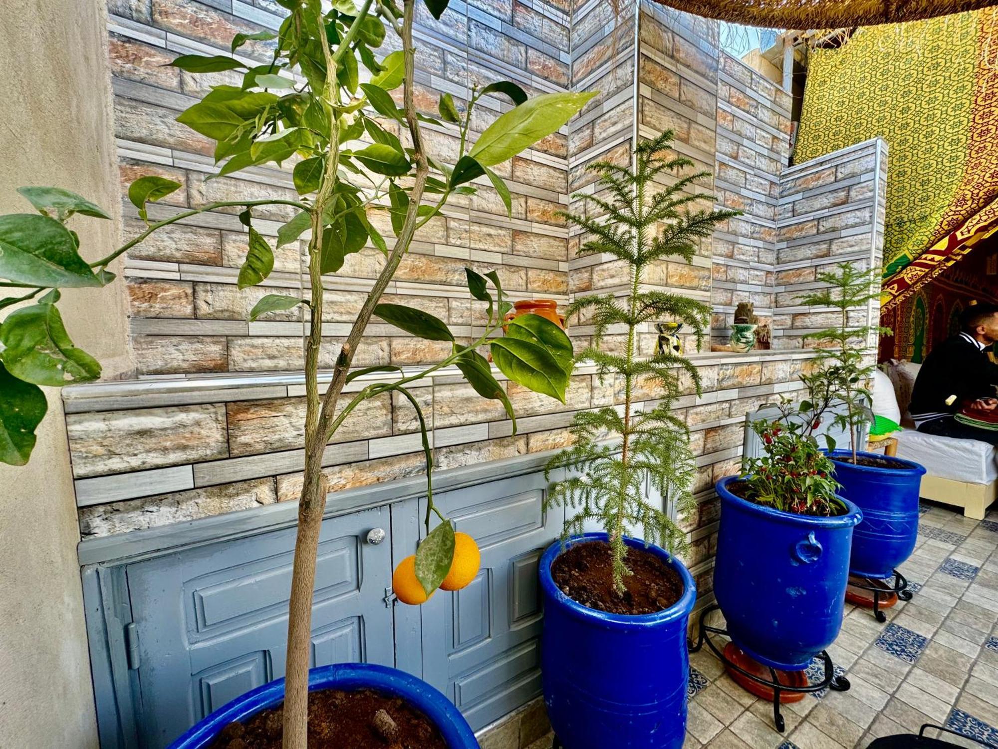 Riad Elbaroudi Marrakesh Exteriör bild